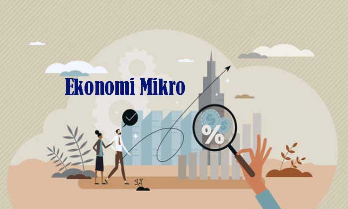 Pengertian Ekonomi Mikro dan Cabangnya