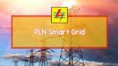 pln