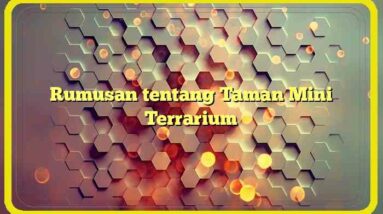 Rumusan tentang Taman Mini Terrarium